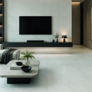 MAXIM GRIS LAPATTO, 60 × 60 cm